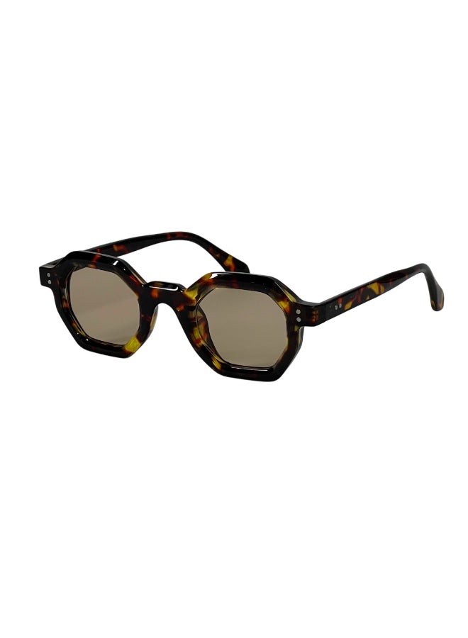 Pedro Trendy smoked Brown Lenses Sunglasses - Image 1